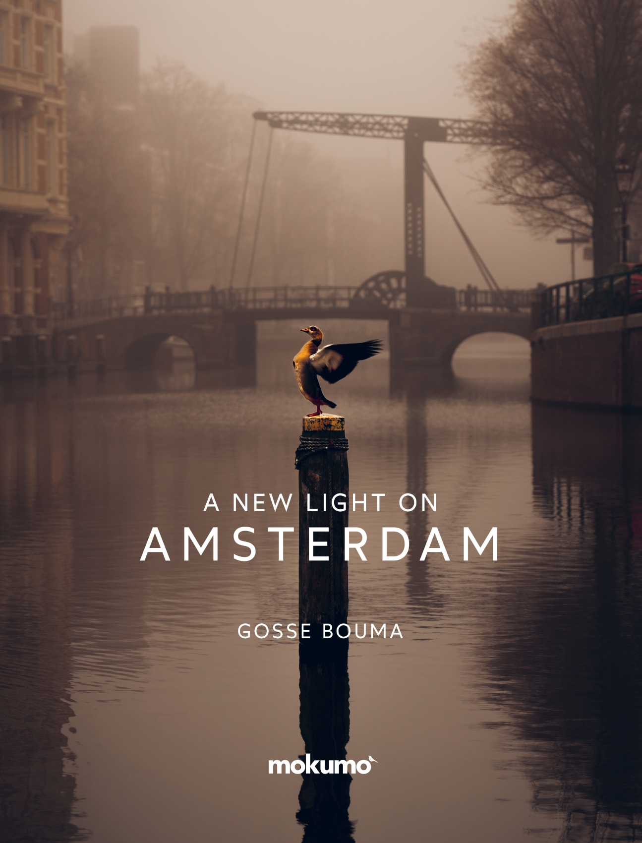 Gosse Bouma: A New Light on Amsterdam